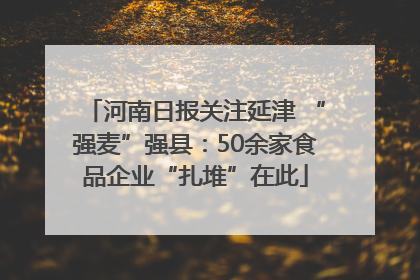河南日报关注延津 “强麦”强县：50余家食品企业“扎堆”在此