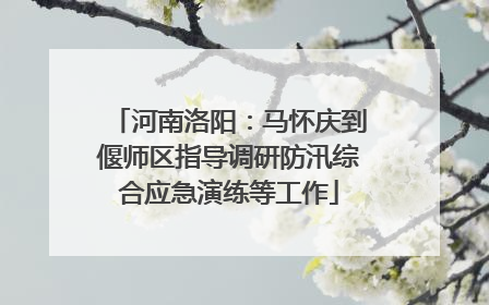 河南洛阳：马怀庆到偃师区指导调研防汛综合应急演练等工作