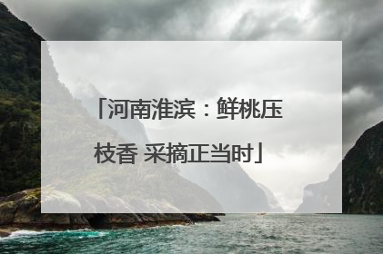 河南淮滨：鲜桃压枝香 采摘正当时