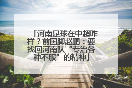 河南足球在中超咋样？前国脚赵鹏：要找回河南队“专治各种不服”的精神