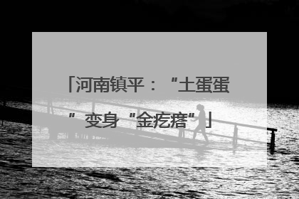 河南镇平：“土蛋蛋”变身“金疙瘩”