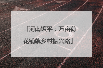 河南镇平：万亩荷花铺就乡村振兴路