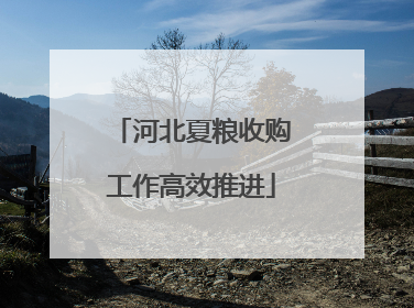 河北夏粮收购工作高效推进