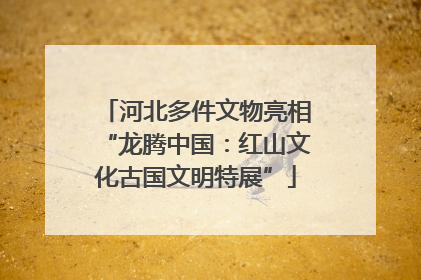 河北多件文物亮相“龙腾中国：红山文化古国文明特展”