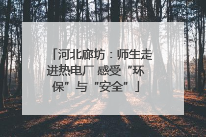 河北廊坊：师生走进热电厂 感受“环保”与“安全”