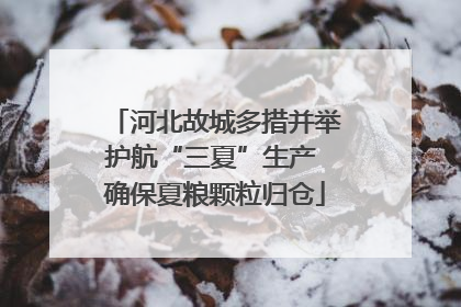 河北故城多措并举护航“三夏”生产 确保夏粮颗粒归仓