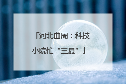 河北曲周：科技小院忙“三夏”