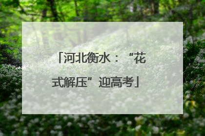 河北衡水：“花式解压”迎高考
