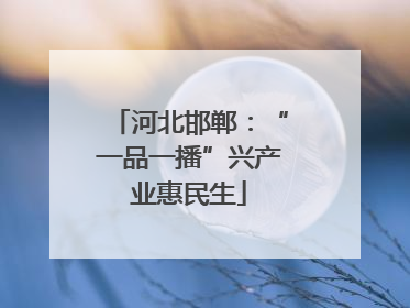 河北邯郸：“一品一播”兴产业惠民生