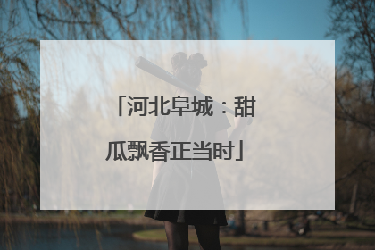 河北阜城：甜瓜飘香正当时
