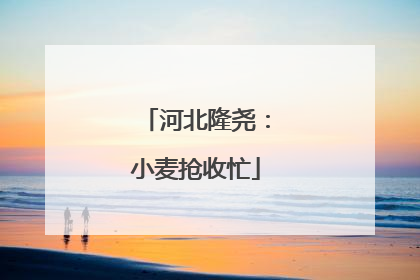 河北隆尧：小麦抢收忙