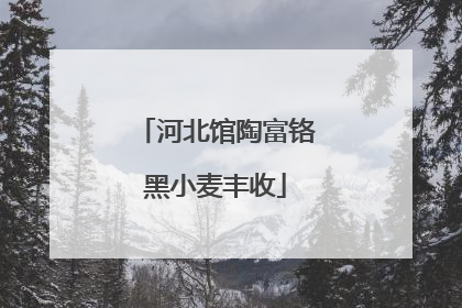 河北馆陶富铬黑小麦丰收