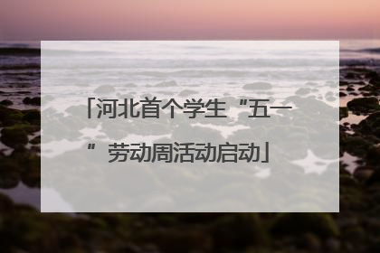 河北首个学生“五一”劳动周活动启动