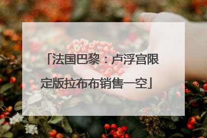 法国巴黎：卢浮宫限定版拉布布销售一空