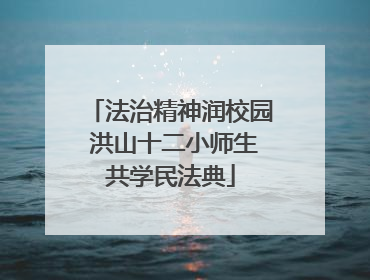 法治精神润校园 洪山十二小师生共学民法典