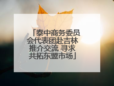 泰中商务委员会代表团赴吉林推介交流 寻求共拓东盟市场