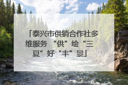 泰兴市供销合作社多维服务 “供”绘“三夏”好“丰”景