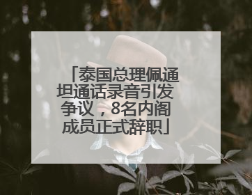 泰国总理佩通坦通话录音引发争议，8名内阁成员正式辞职