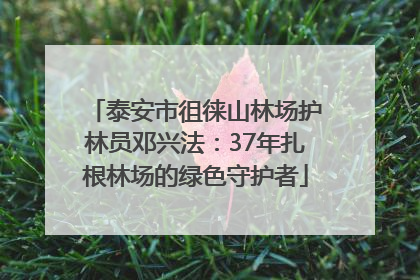 泰安市徂徕山林场护林员邓兴法：37年扎根林场的绿色守护者