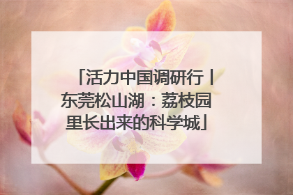 活力中国调研行丨东莞松山湖：荔枝园里长出来的科学城