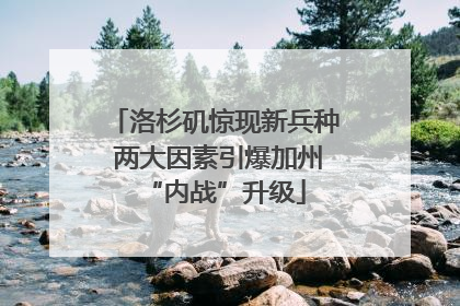 洛杉矶惊现新兵种 两大因素引爆加州“内战”升级