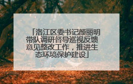 洛江区委书记颜丽明带队调研督导巡视反馈意见整改工作，推进生态环境保护建设