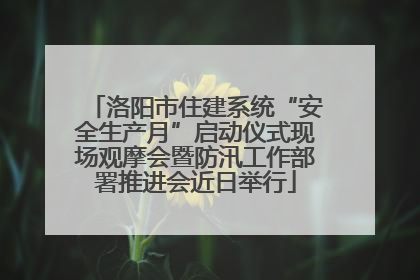 洛阳市住建系统“安全生产月”启动仪式现场观摩会暨防汛工作部署推进会近日举行