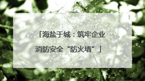 海盐于城：筑牢企业消防安全“防火墙”