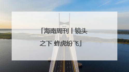 海南周刊丨镜头之下 蜂虎纷飞