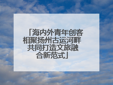 海内外青年创客相聚扬州古运河畔 共同打造文旅融合新范式