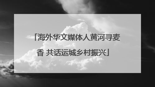 海外华文媒体人黄河寻麦香 共话运城乡村振兴