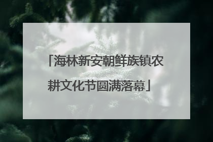 海林新安朝鲜族镇农耕文化节圆满落幕