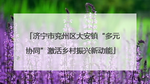 济宁市兖州区大安镇“多元协同”激活乡村振兴新动能
