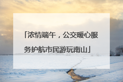浓情端午，公交暖心服务护航市民游玩南山