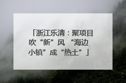 浙江乐清：聚项目吹“新”风 “海边小镇”成“热土”