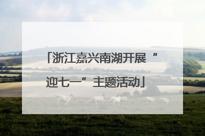 浙江嘉兴南湖开展“迎七一”主题活动