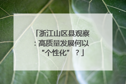 浙江山区县观察：高质量发展何以“个性化”？