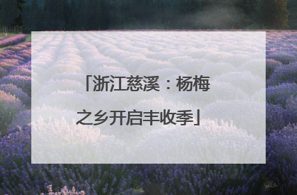 浙江慈溪：杨梅之乡开启丰收季