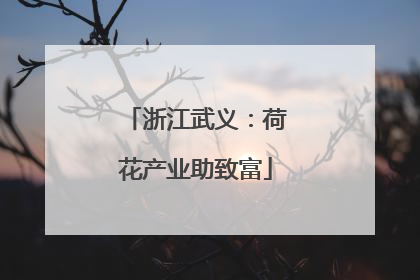 浙江武义：荷花产业助致富