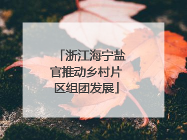 浙江海宁盐官推动乡村片区组团发展