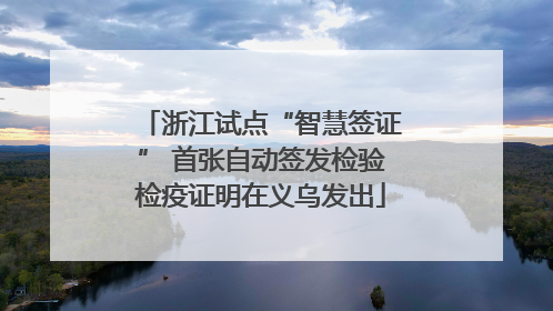 浙江试点“智慧签证” 首张自动签发检验检疫证明在义乌发出