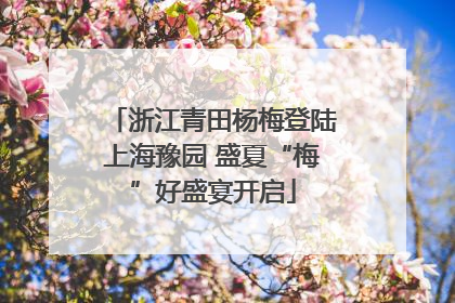 浙江青田杨梅登陆上海豫园 盛夏“梅”好盛宴开启