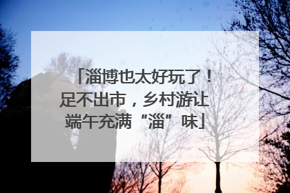 淄博也太好玩了！足不出市，乡村游让端午充满“淄”味