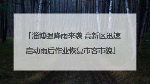淄博强降雨来袭 高新区迅速启动雨后作业恢复市容市貌