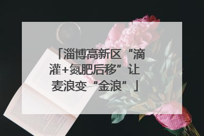 淄博高新区“滴灌+氮肥后移”让麦浪变“金浪”