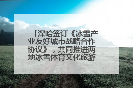 深哈签订《冰雪产业友好城市战略合作协议》，共同推进两地冰雪体育文化旅游高质量发展