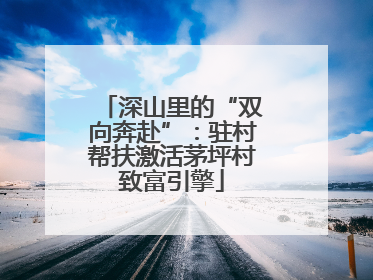 深山里的“双向奔赴”：驻村帮扶激活茅坪村致富引擎