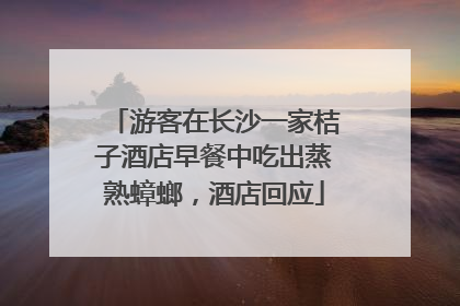游客在长沙一家桔子酒店早餐中吃出蒸熟蟑螂，酒店回应