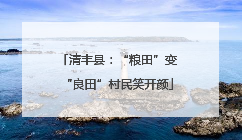 清丰县：“粮田”变“良田”村民笑开颜