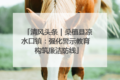 清风头条｜桑植县凉水口镇：强化警示教育 构筑廉洁防线